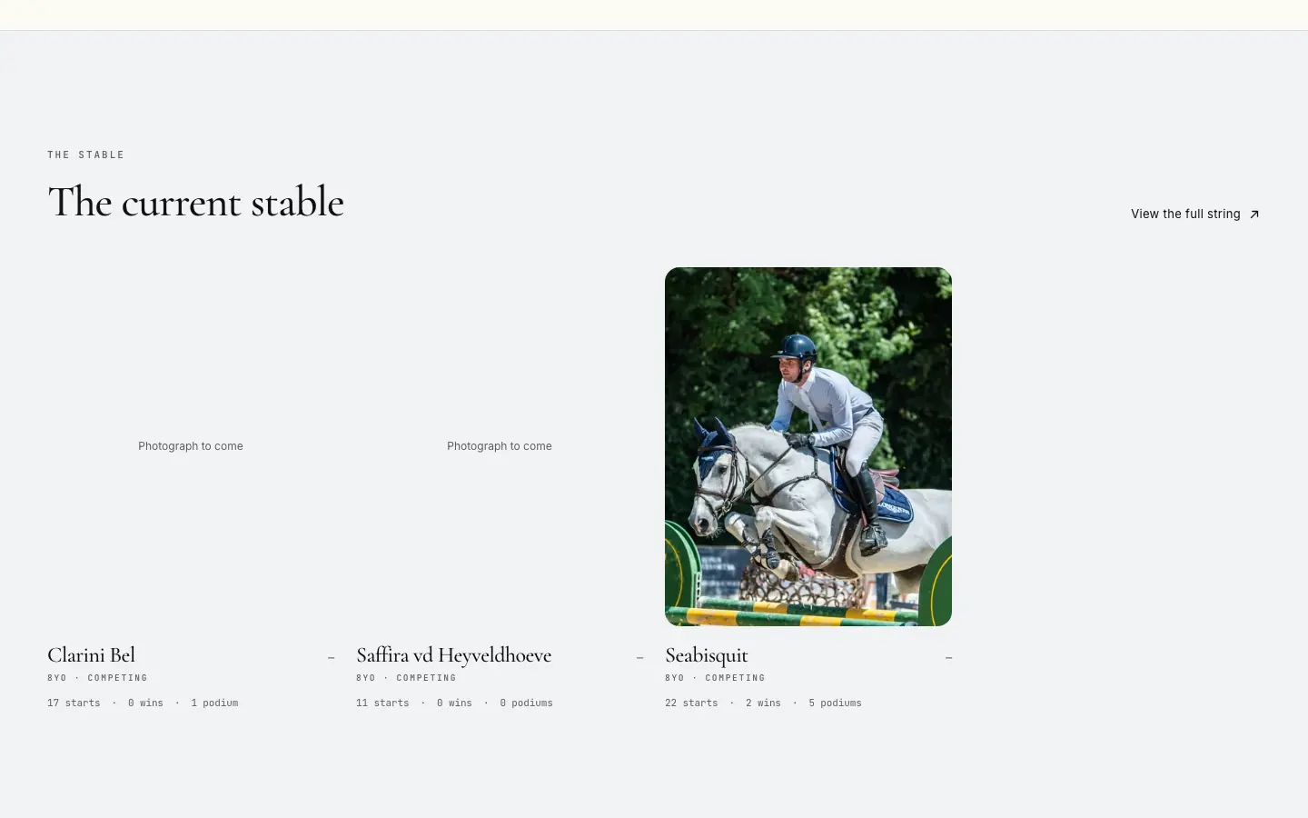 Elite Horse Club screenshot